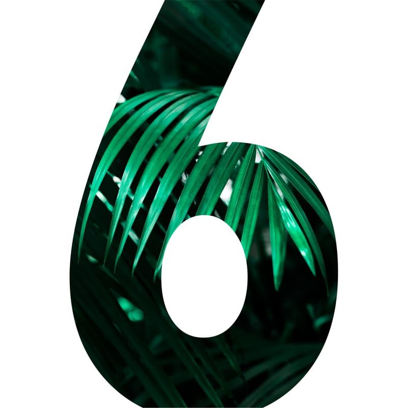 BOTÂNICA 6