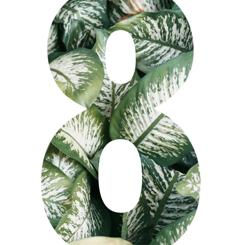 BOTÂNICA 8