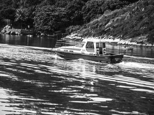 LANCHINHA
