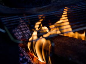 FOGO - 1