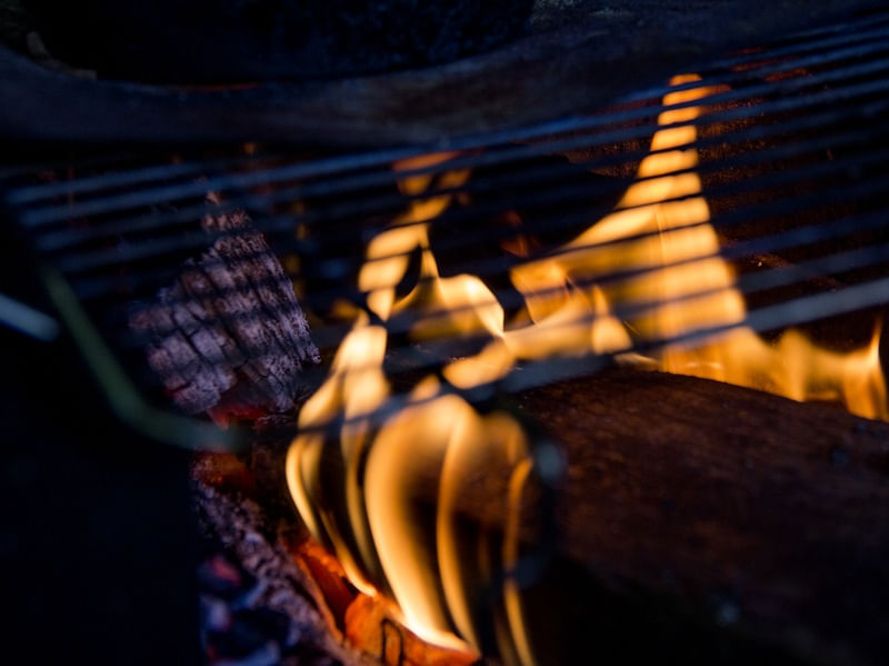 FOGO - 1