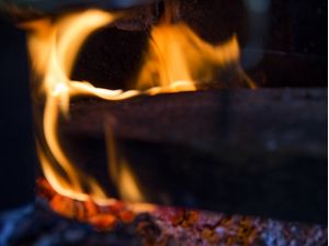 FOGO - 2