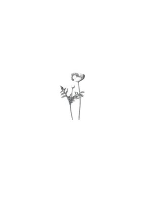 FOLHAS MINIMALISTA 3