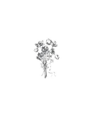 FOLHAS MINIMALISTA 4