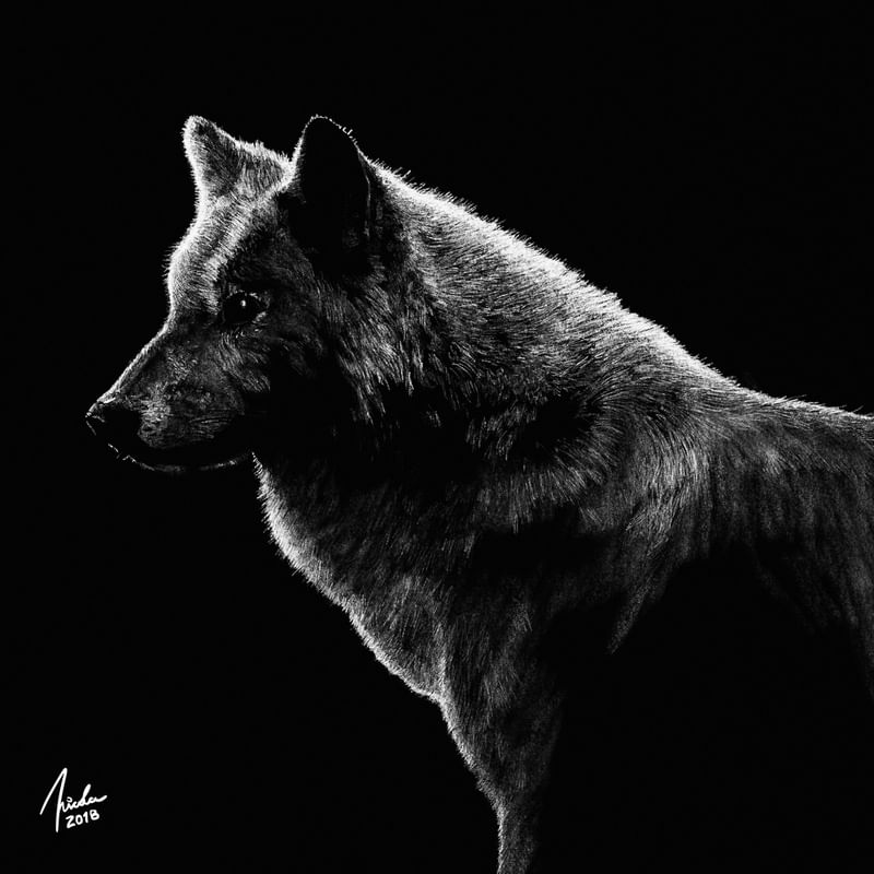 LOBO - LÁPIS BRANCO
