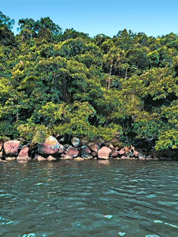 INDAIÁ 2