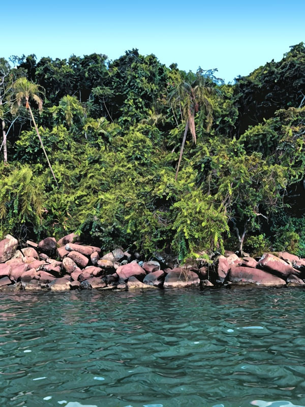 INDAIÁ 4