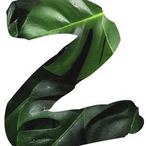 2 BOTÂNICO