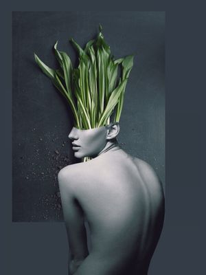 COLLAGE ART / PLANT
