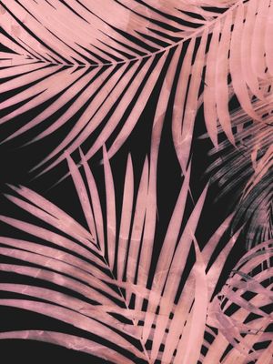 DELICATE JUNGLE PINK AND BLACK