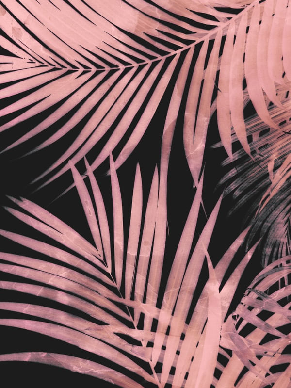 DELICATE JUNGLE PINK AND BLACK