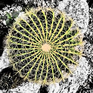 NATUREZA 002 COR LV