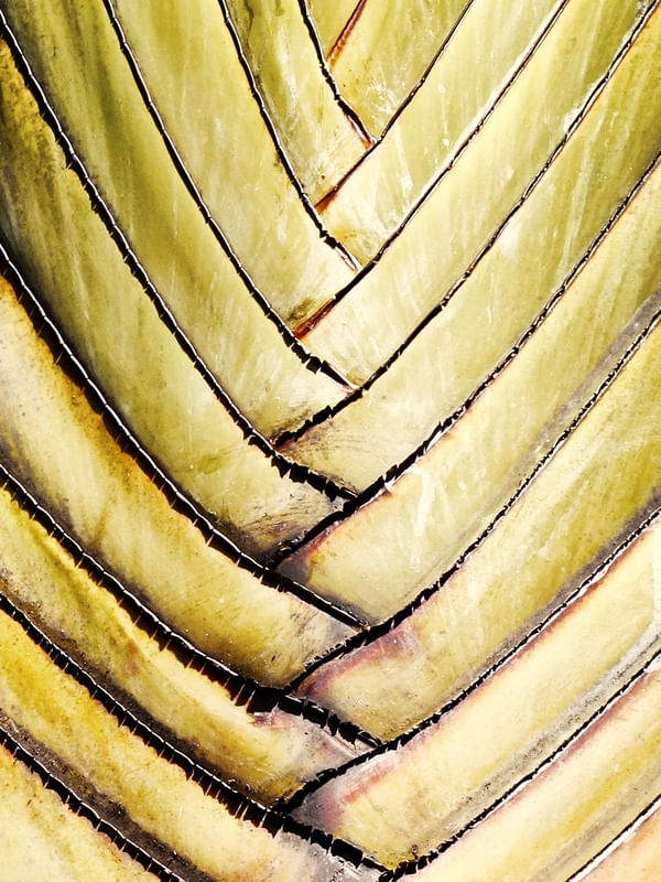 NATUREZA 018 COR LV