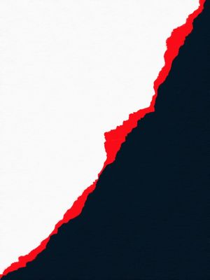 O VERMELHO E O NEGRO V