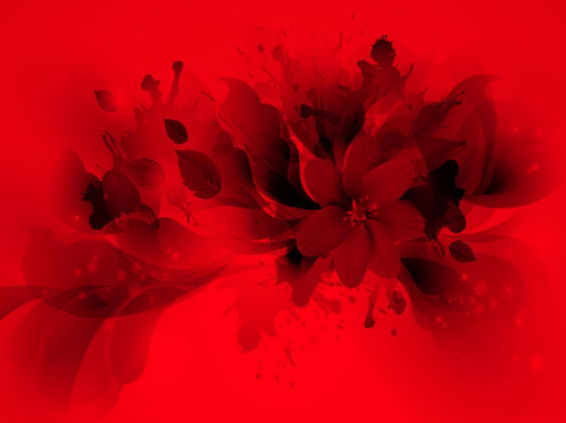 FLOR DE SANGUE
