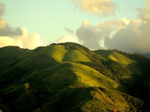 VERDE DOURADO