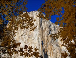 YOSEMITE NATIONAL PARK