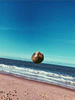 COCONUT FLYING