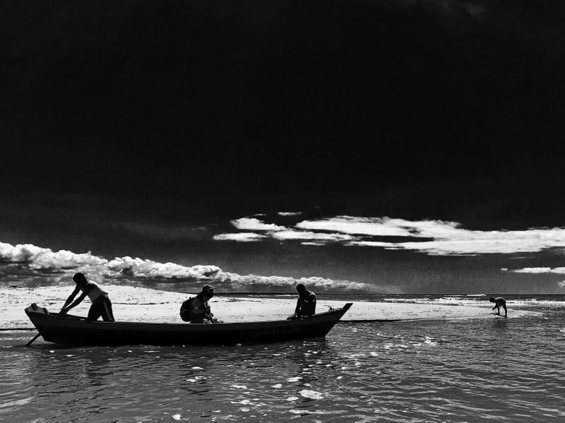 GRAY FISHING