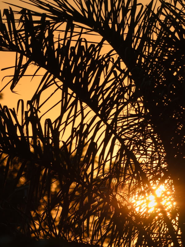 AMANHECER EM
