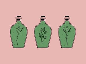 PLANTAS ENGARRAFADAS
