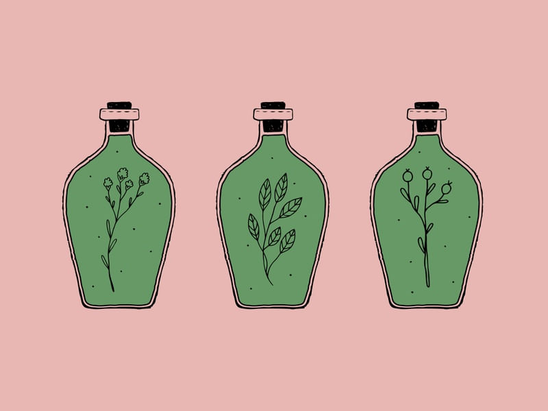 PLANTAS ENGARRAFADAS
