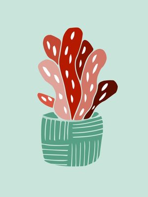 CACTO VERMELHO 2