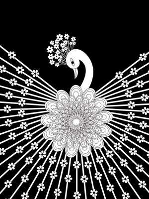 PEACOCK.TAS