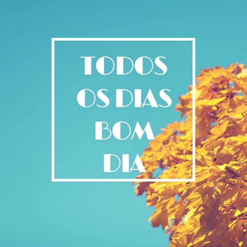 SEMPRE BOM DIA