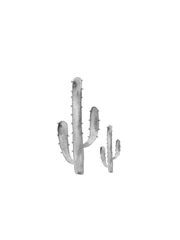 CACTOS 2