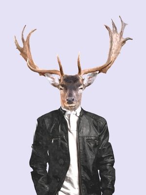 VEADO FASHION