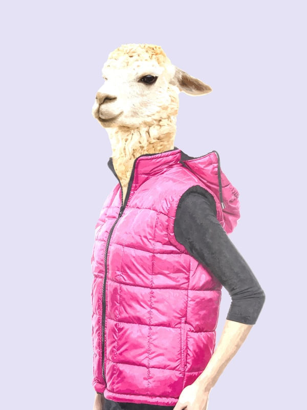 LHAMA FASHION