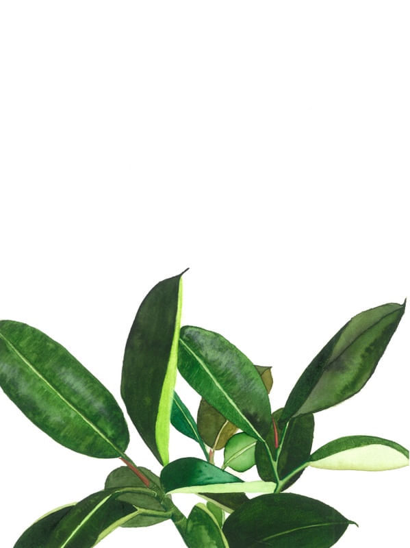 FOLHAS VERDES DE AQUARELA