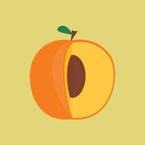 FRUIT JF 01