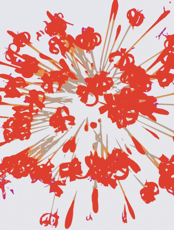 EXPLOXÃO DE FLORES II