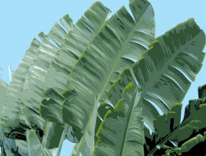 WAVE LEAVES