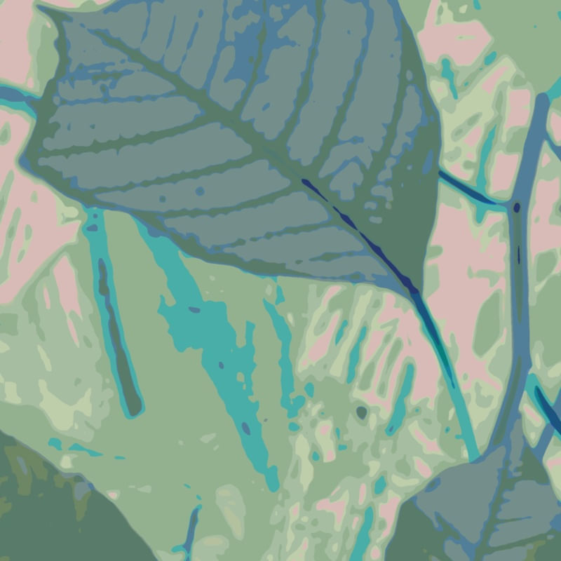 NATUREZA EM DESTAQUE