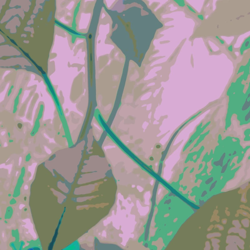 NATUREZA EM DESTAQUE II