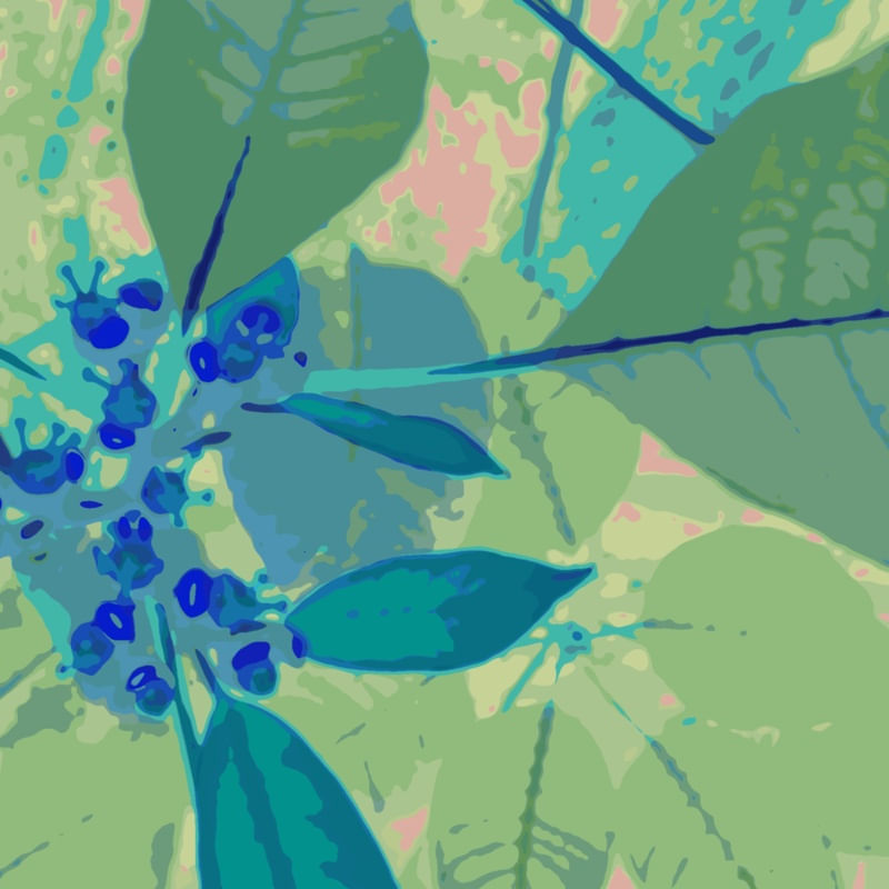 NATUREZA EM DESTAQUE III