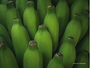 CACHO DE BANANAS