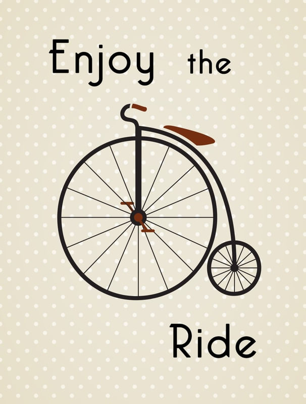 ENJOY THE BIKE