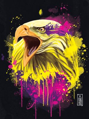 VISÃO DE ÁGUIA