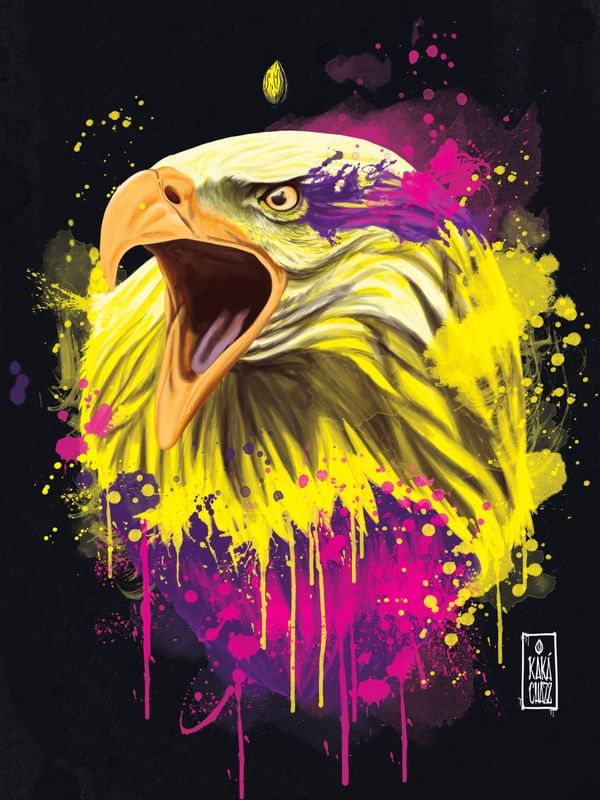VISÃO DE ÁGUIA
