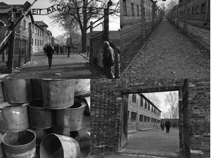 AUSCHWITZ EM PRETO & BRANCO