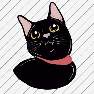 NANKO THE CAT