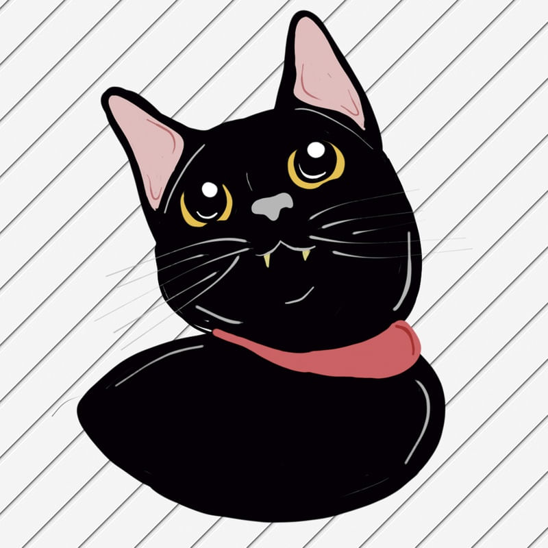 NANKO THE CAT