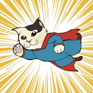 SUPER CAT
