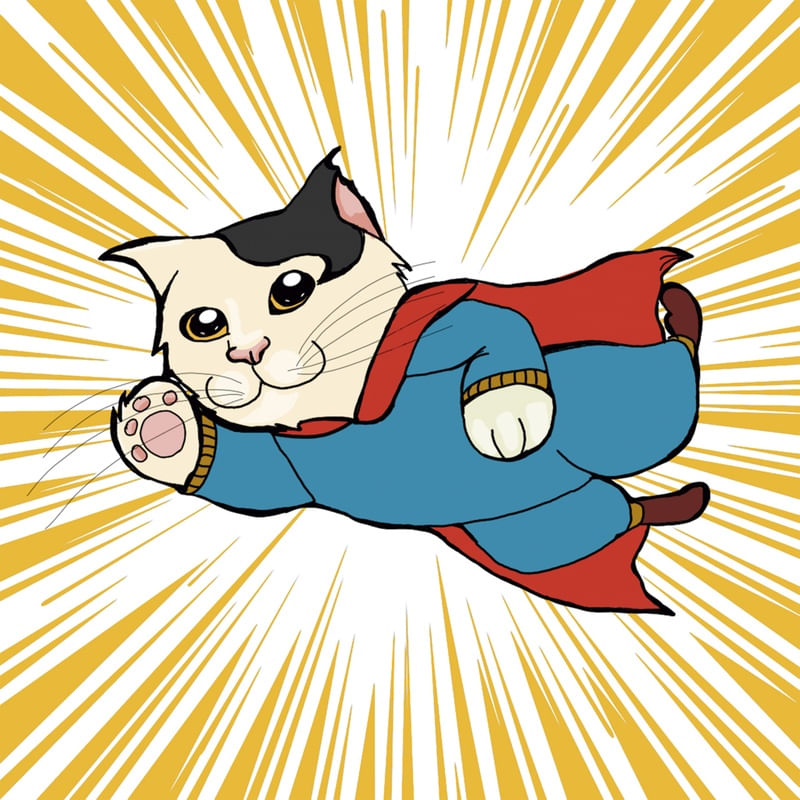SUPER CAT