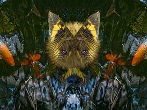 LOBO URBANO