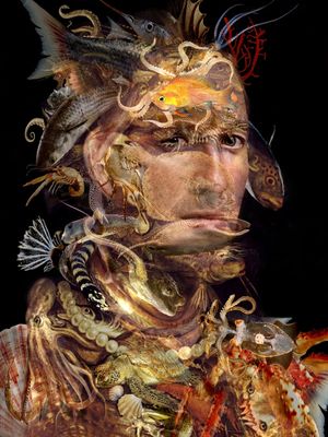 RELEITURA DE ARCIMBOLDO 1